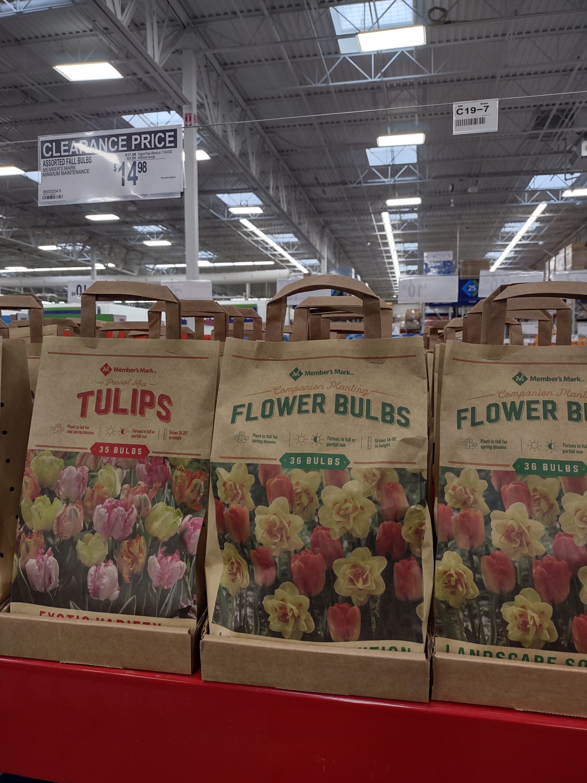 Hyacinth, Tulip & Flower Bulbs $4.98 at Sam’s